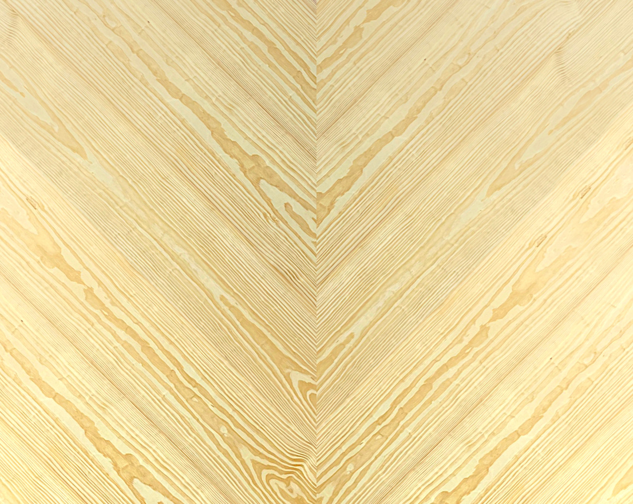 ビッグイエローパイン